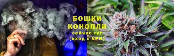 альфа пвп Заволжск